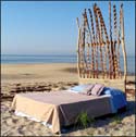 Bed of Seaweed by Walter Baranowski