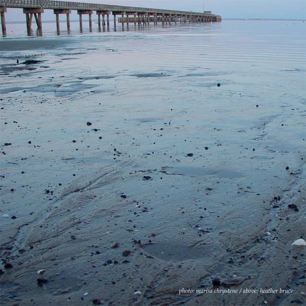 photo by marisa chrystene of provincetown beach at low tide near coast guard pier 