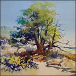 Harvey Dodd watercolor