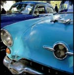 Judy Jalbert archival ink print