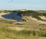 Province Lands by Mark Adams