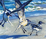 Stephen Griffin, Gulls in Flight